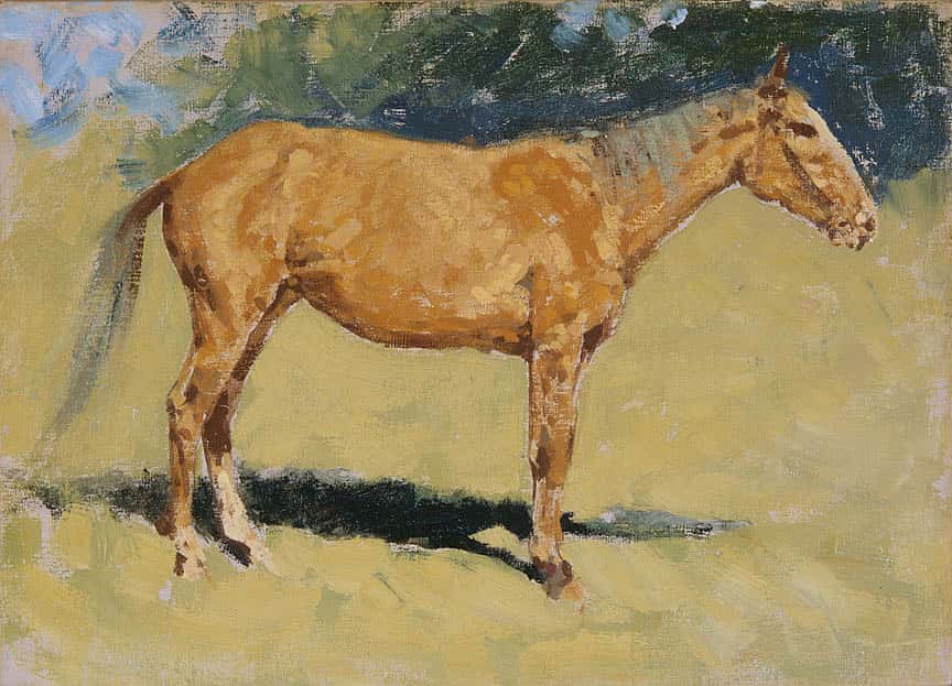 Untitled (horse study)