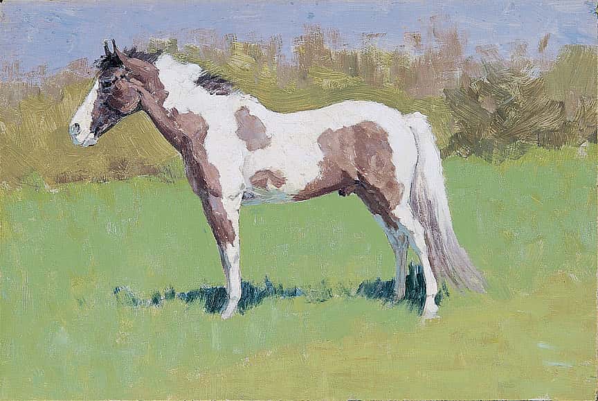 Untitled (horse study)