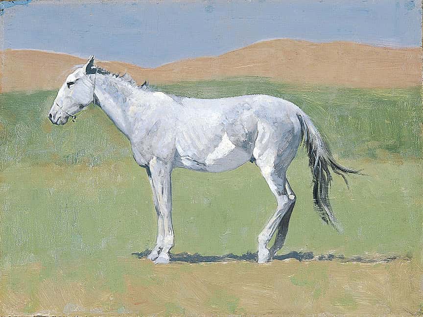 Untitled (horse study)