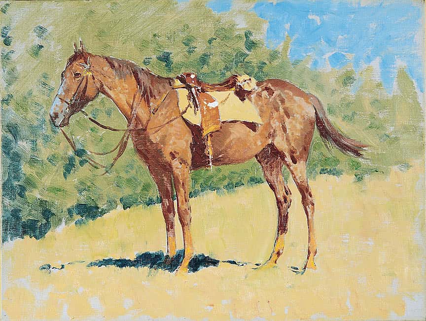 Untitled (horse study)