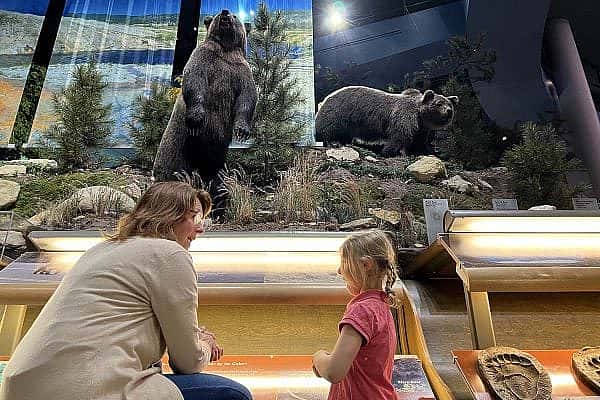 ET-Dana- DNHM-web Exclusive Tours guide Dana with a young visitor by the grizzly bear exhibition in the Draper Natural History Museum.