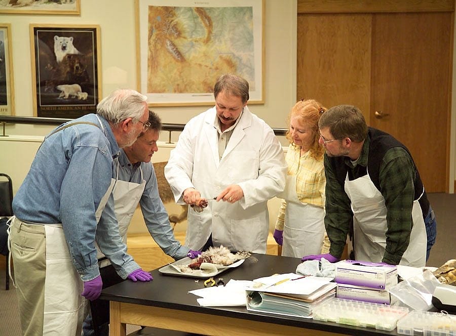 Volunteers assist the curator in the Draper Lab