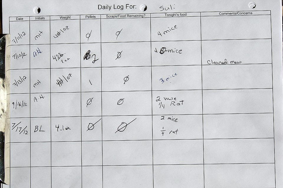 Suli’s Daily Log - Buffalo Bill Center of the West