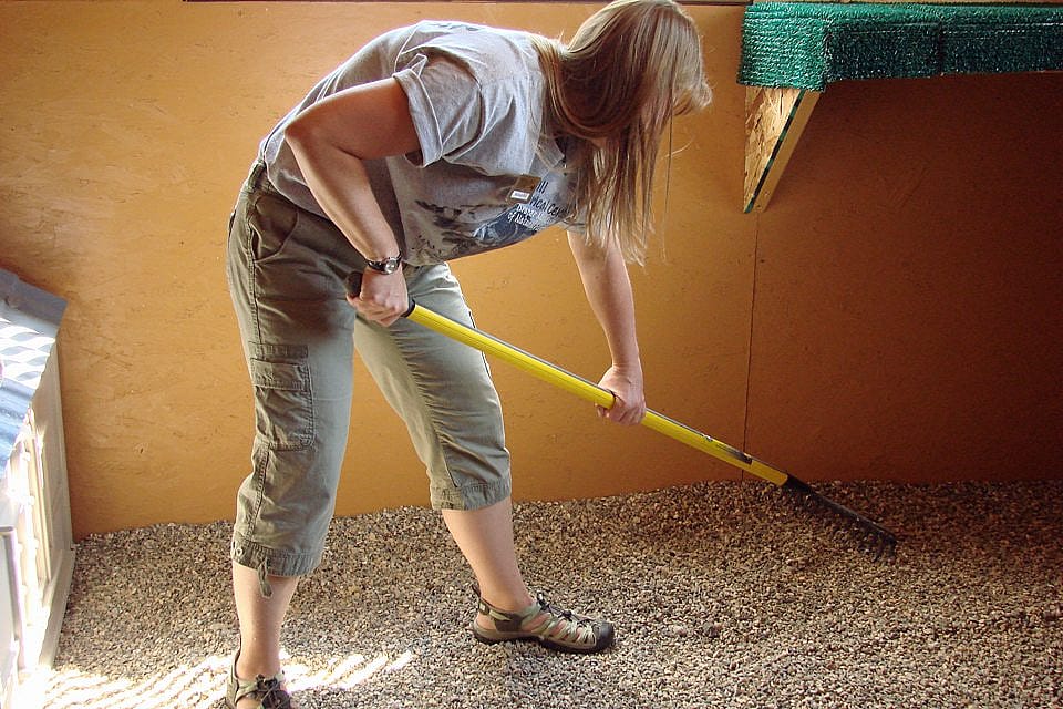 Melissa raking the gravel in Suli’s mew at the Greater Yellowstone Raptor Experience