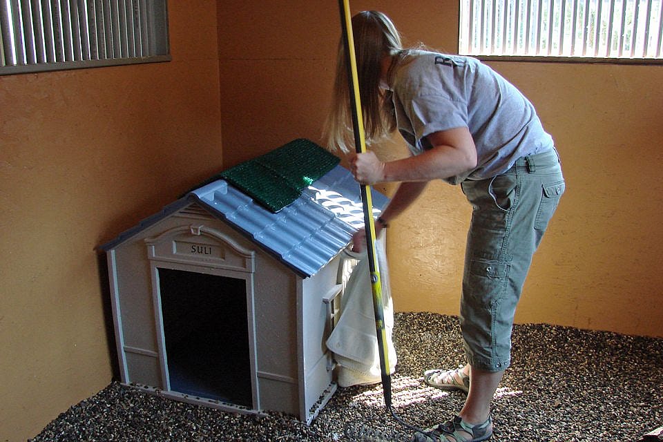 Melissa drying Suli’s house at the Greater Yellowstone Raptor Experience