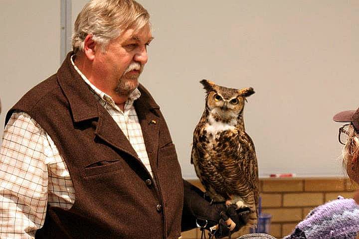 Volunteer Bud showing off Teasdale, our handsome great-horned owl, at one of the Buffalo Bill Center of the West winter programs.