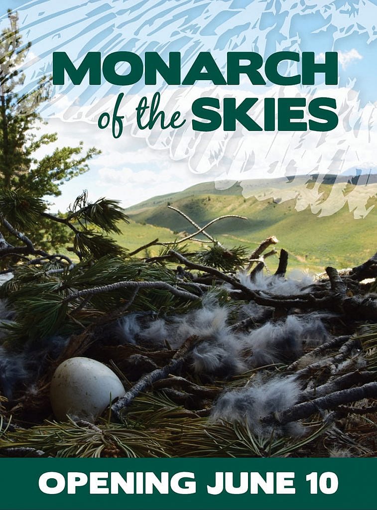 Promotional poster for "Monarch of the Skies" featuring an eagle perched on a branch with a scenic mountain landscape in the background, announcing an opening on June 10.