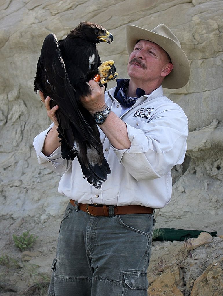 Dr. Charles R. Preston with golden eagle in the field.