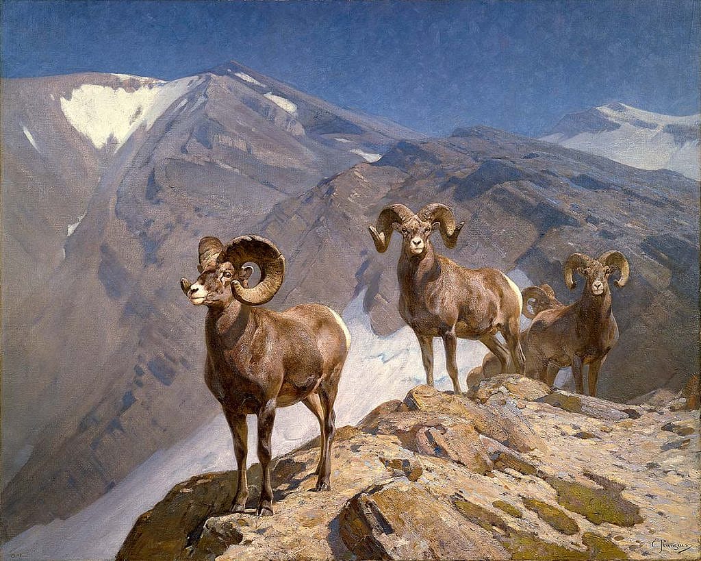 Carl Rungius (1869-1959). The Mountaineers, 1912. Oil on canvas, 60 x 75 inches. Gift of Jackson Hole Preserve, Inc. 16.93.1