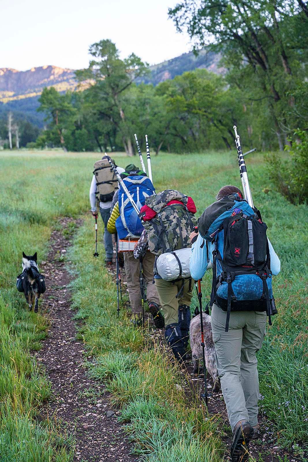 Four researchers and two dogs setting out to deploy sensors.