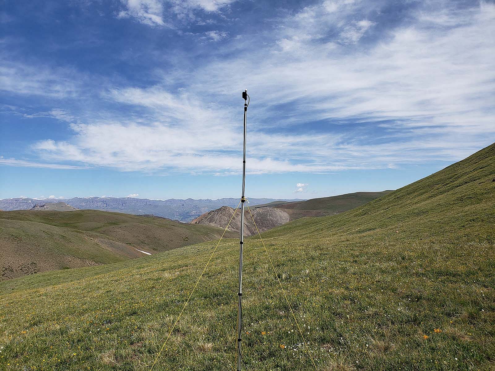 Deployed sensor for Absaroka Bat Census in an alpine meadow.
