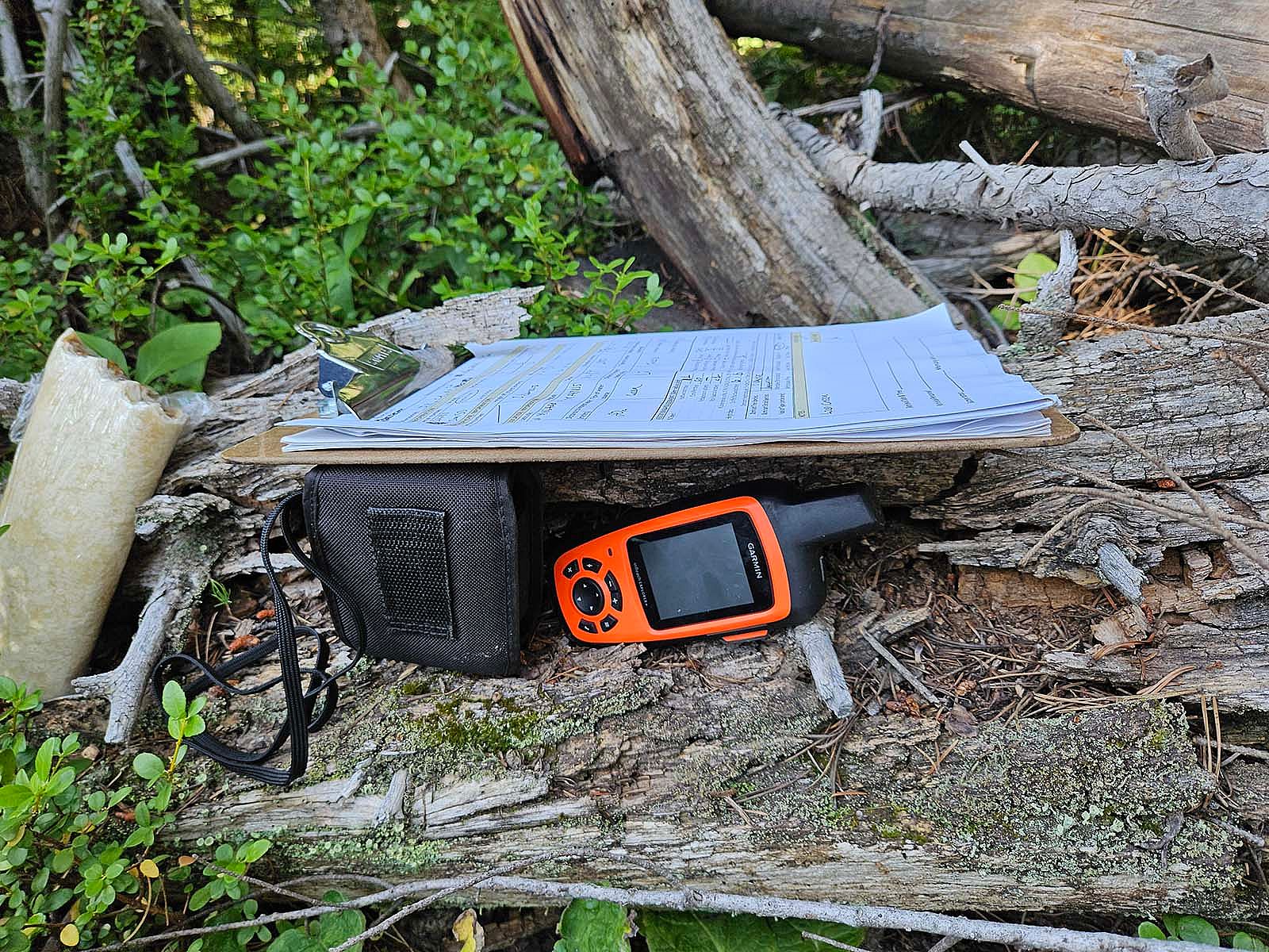Clipboard and radio on log, essential equipment for the Absaroka Bat Census.