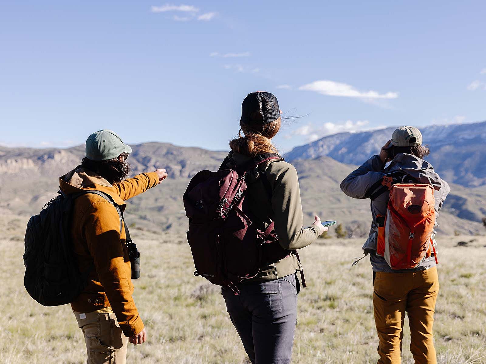 Three researchers look to mountainous horizon on a Pinyon Jay survey.
