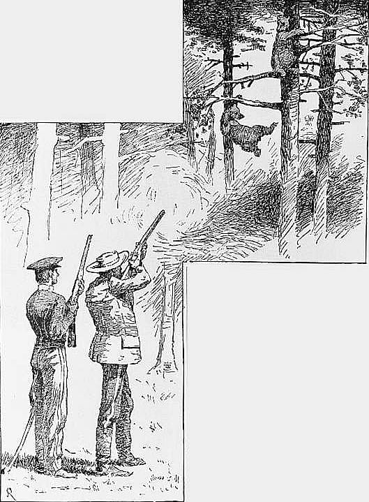 Card image cap