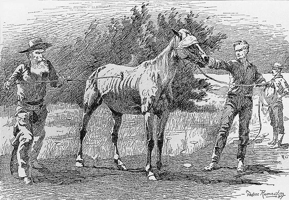 Branding a Horse