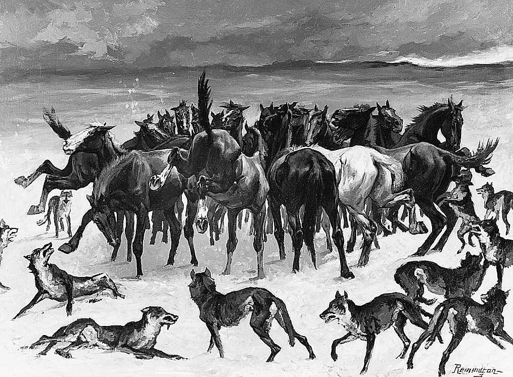 Broncos and Timber Wolves