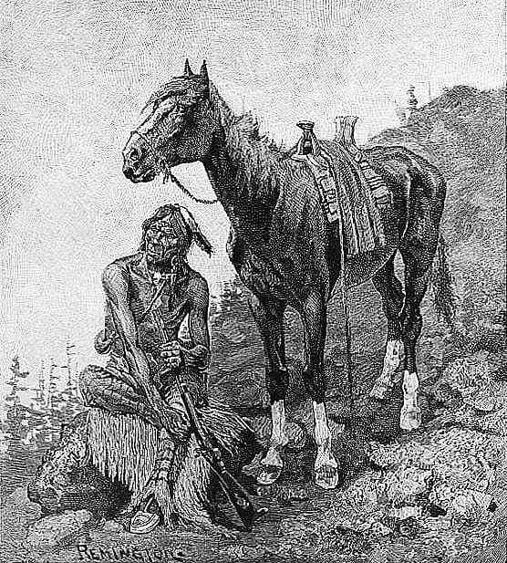 A "Cayuse"