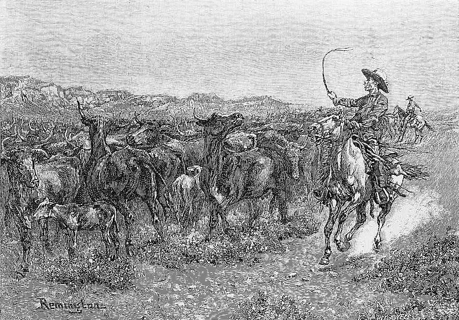 Trailing Cattle