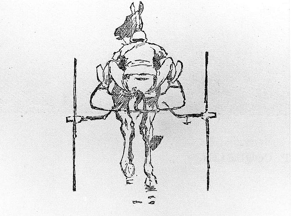 Untitled ("The Revival of the Trotting Track," tailpiece, back view of driver and trotter)