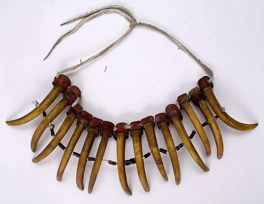 Claw Necklace