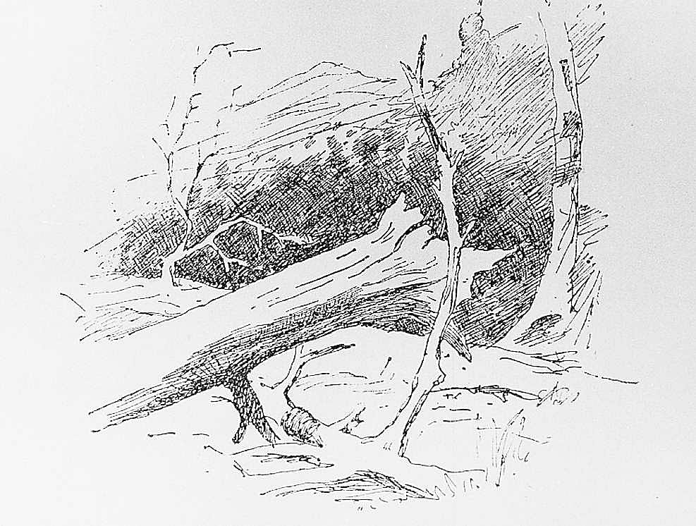Fallen Trees, 1889