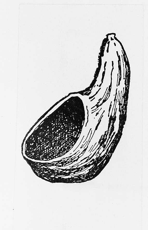 Gourd for Drinking