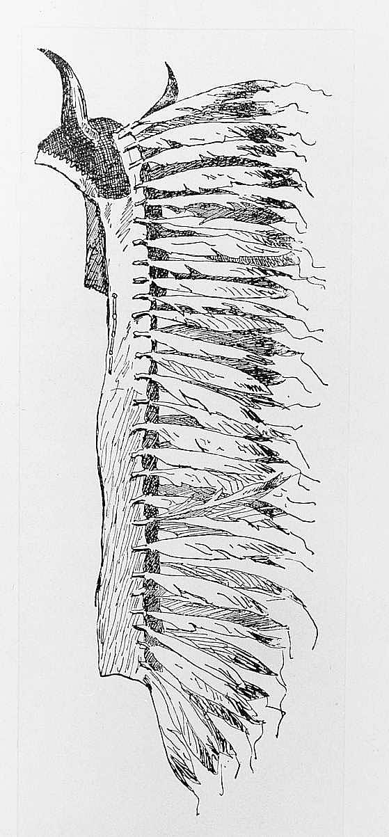Headdress, Sioux