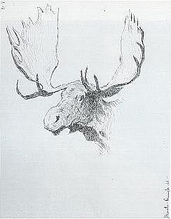 Moose Head