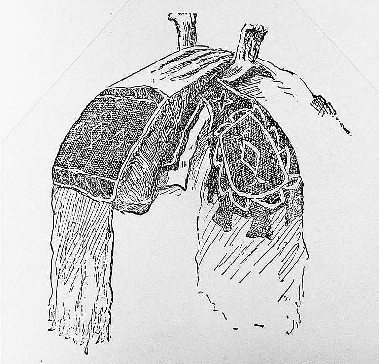 Packing Bag, Decorated for a Horse, Blackfoot