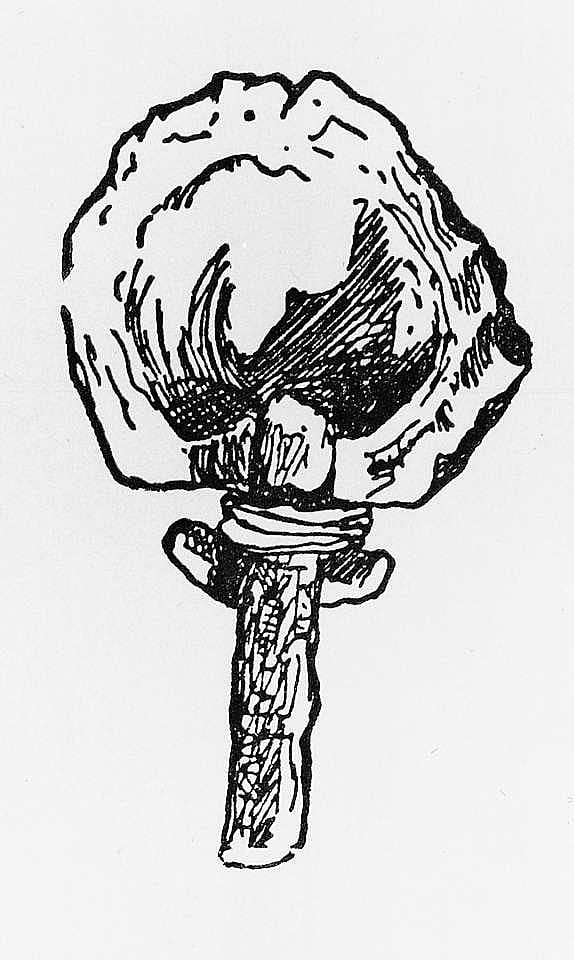 Card image cap