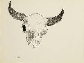 Buffalo Skull