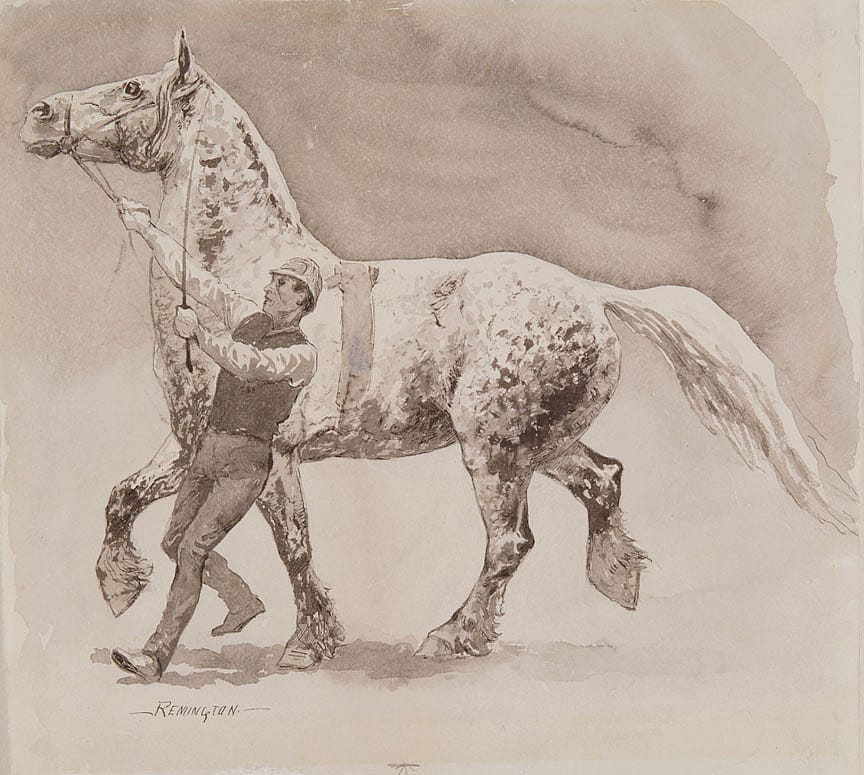 Norman Percheron