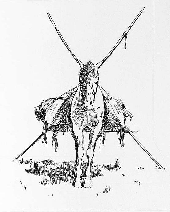 Travois Pony