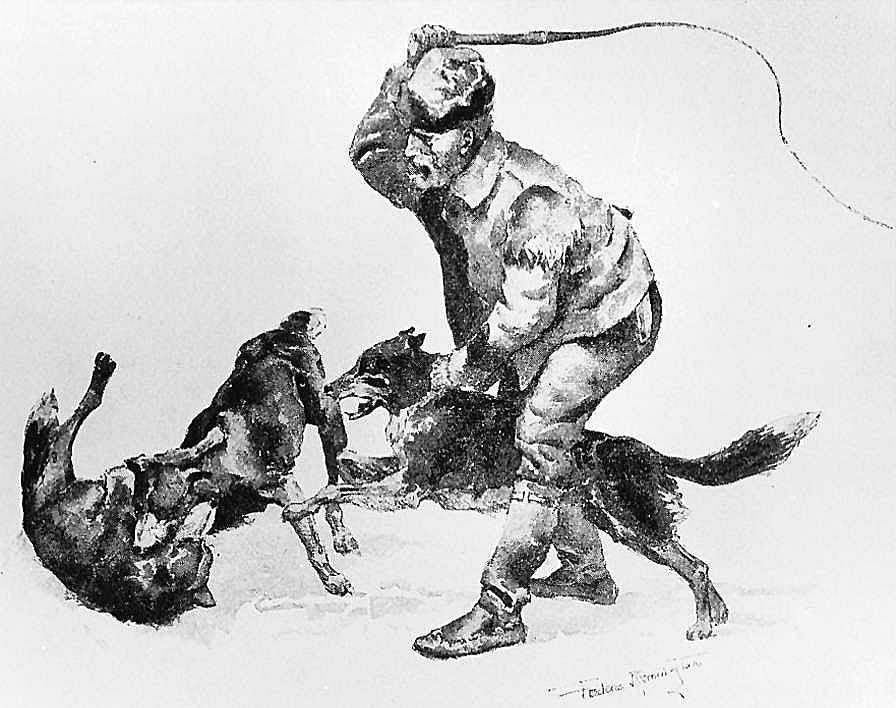 Huskie Dogs Fighting