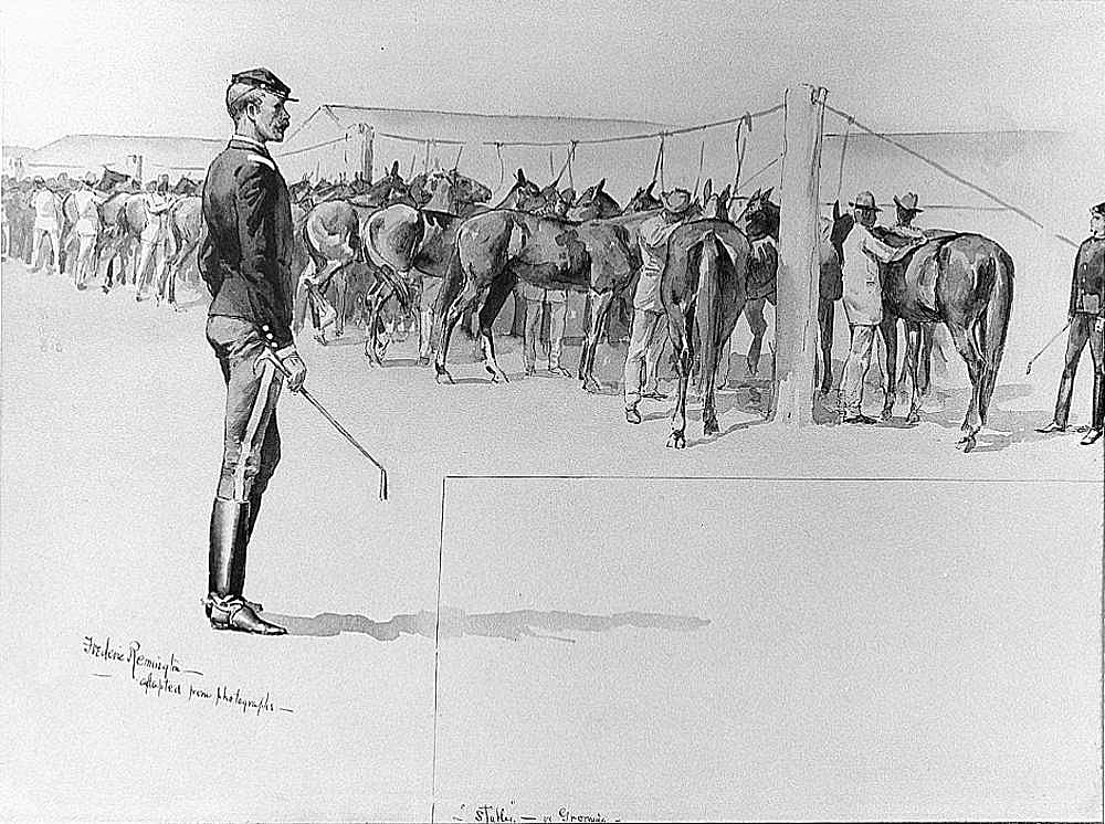 Stables, or Grooming