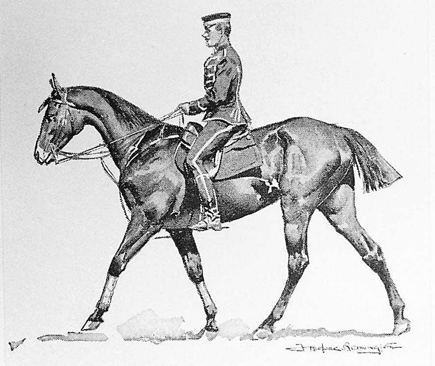 German Hussar, Long-Distance Riding