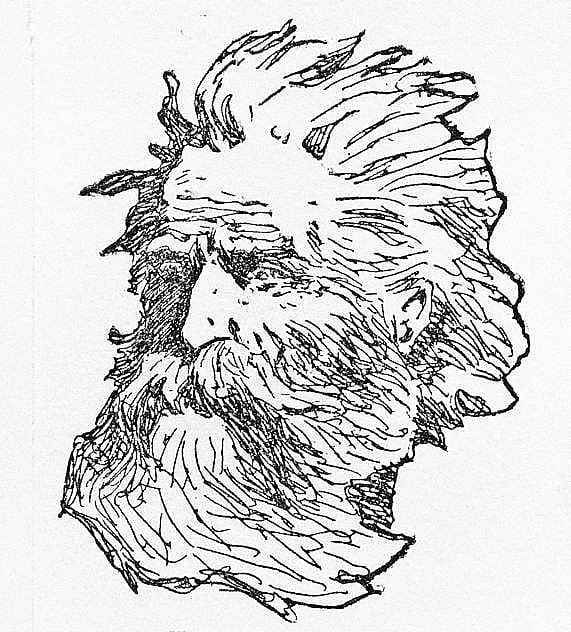 The Chairman