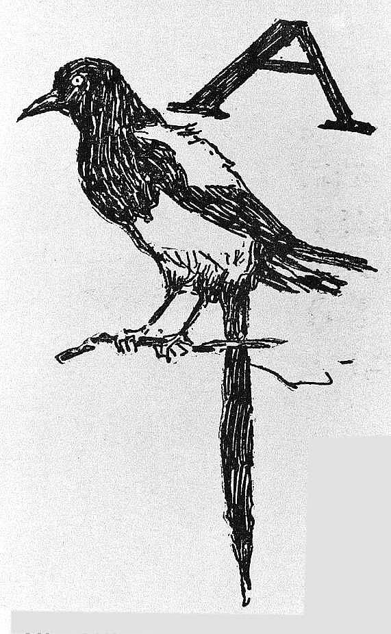 Untitled (John Ermine of the Yellowstone, initial-piece for letter A, magpie)