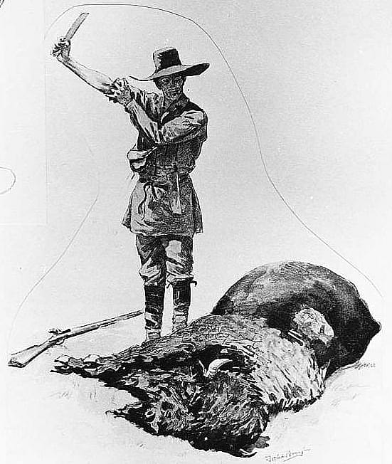 Fresh Buffalo Meat