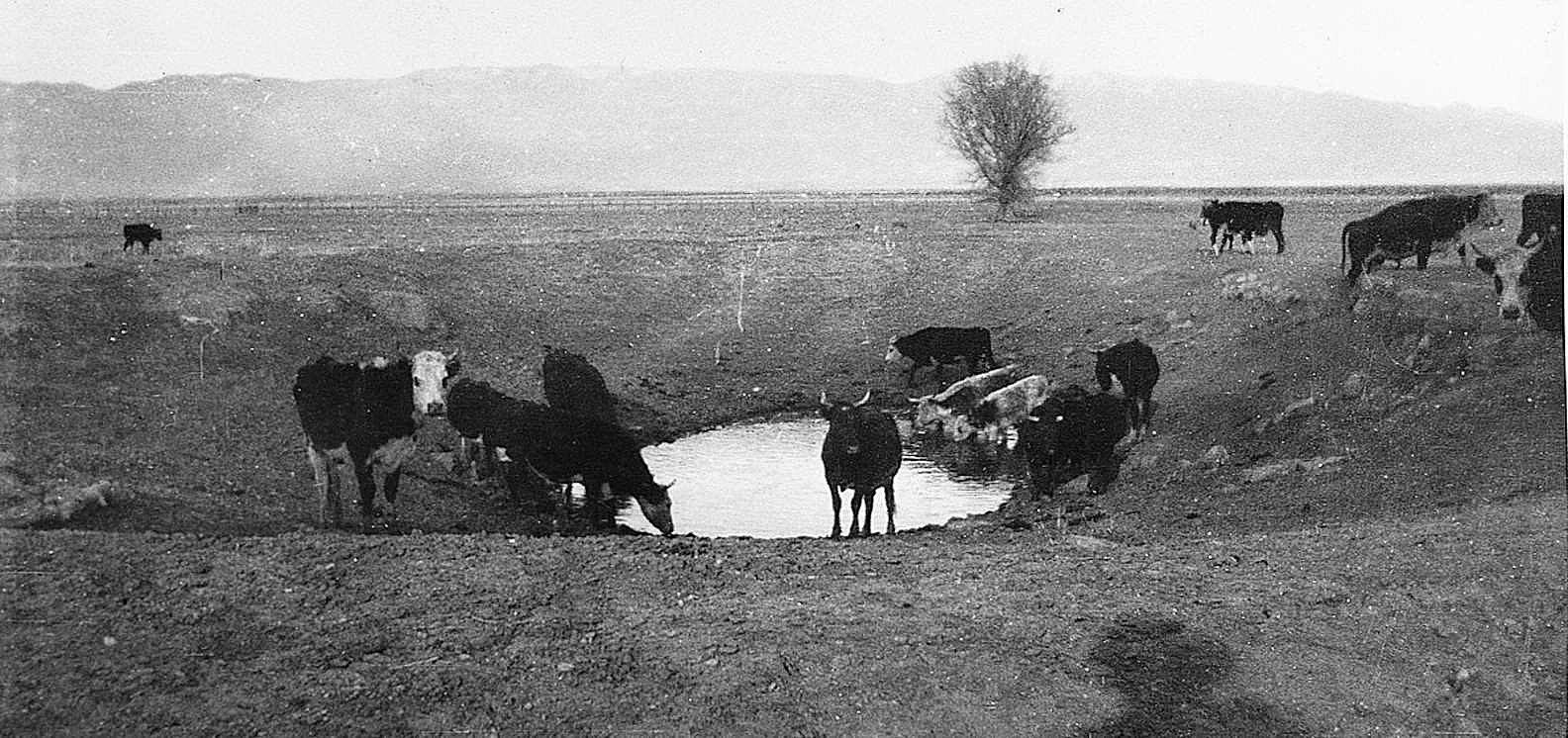 Pool, Sierra Bonito Ranch