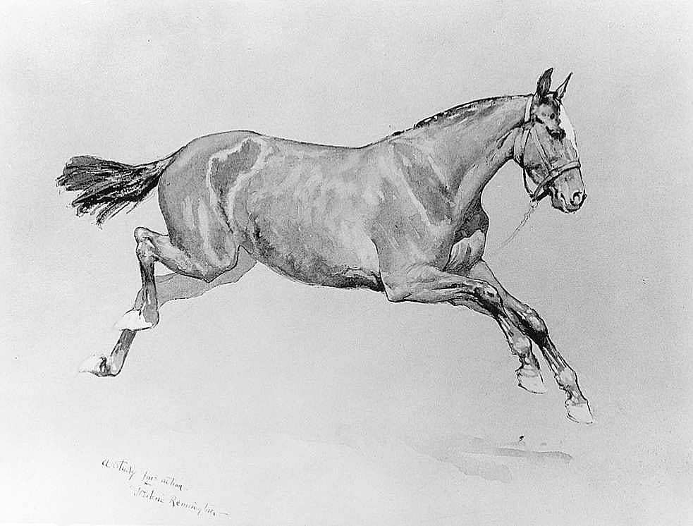A Study for Action