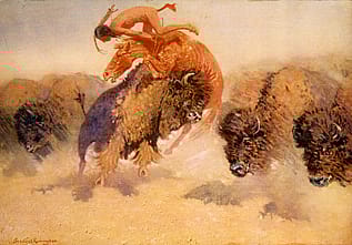 The Buffalo Runner