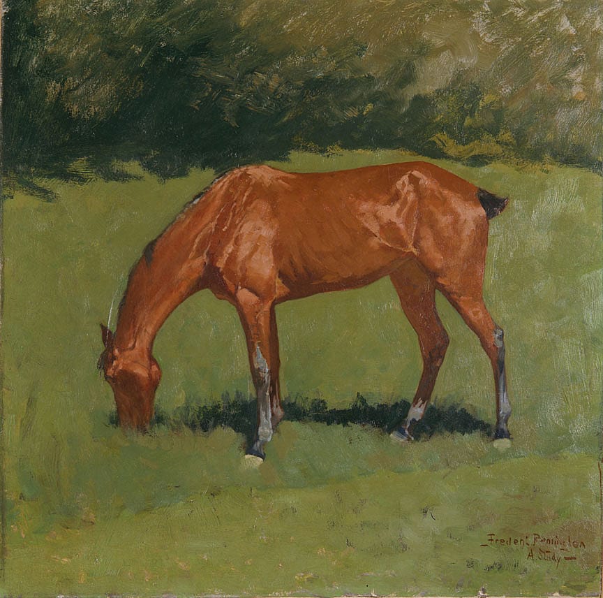 A Study (Remington