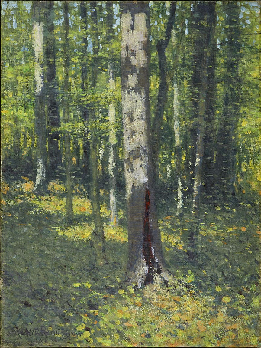 Untitled (birch trees)
