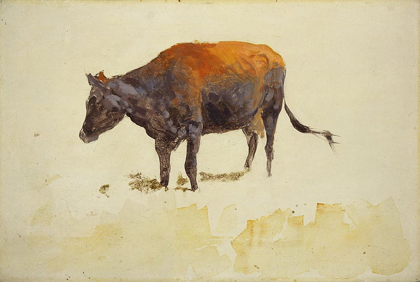 Untitled (cow study)