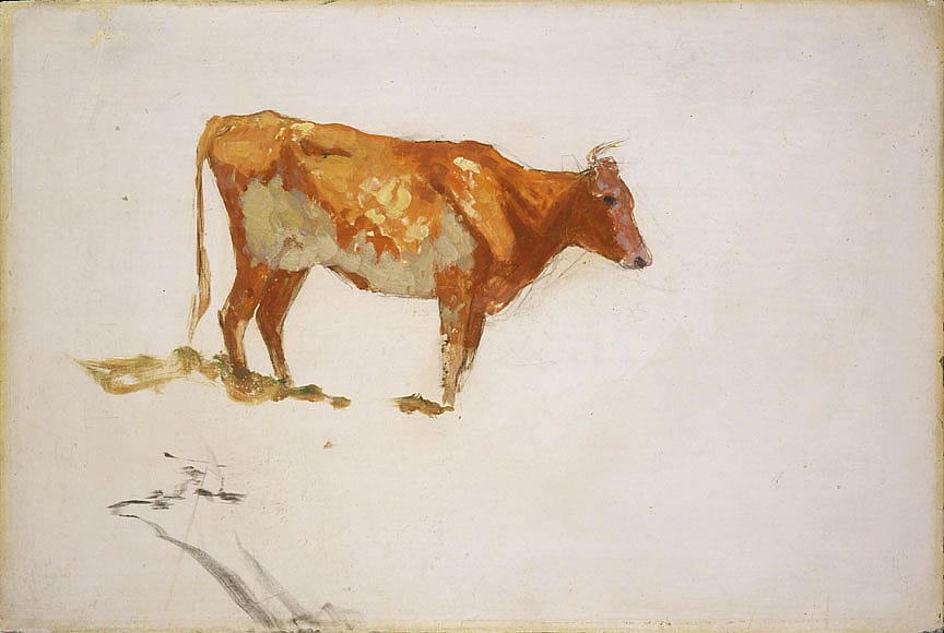 Untitled (cow study)