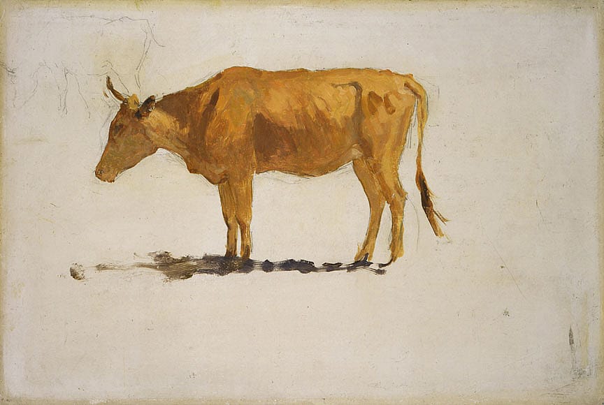 Untitled (cow study)