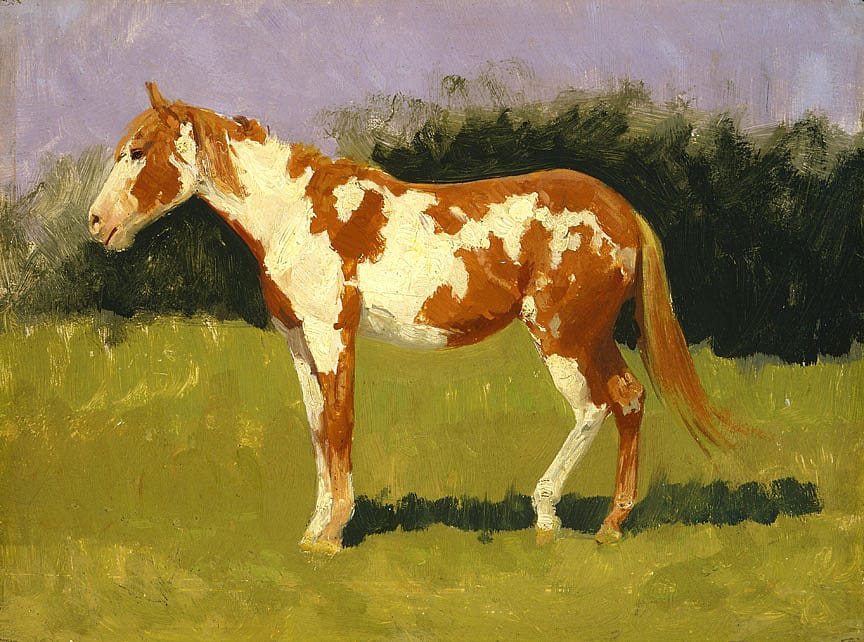 Untitled (horse study)
