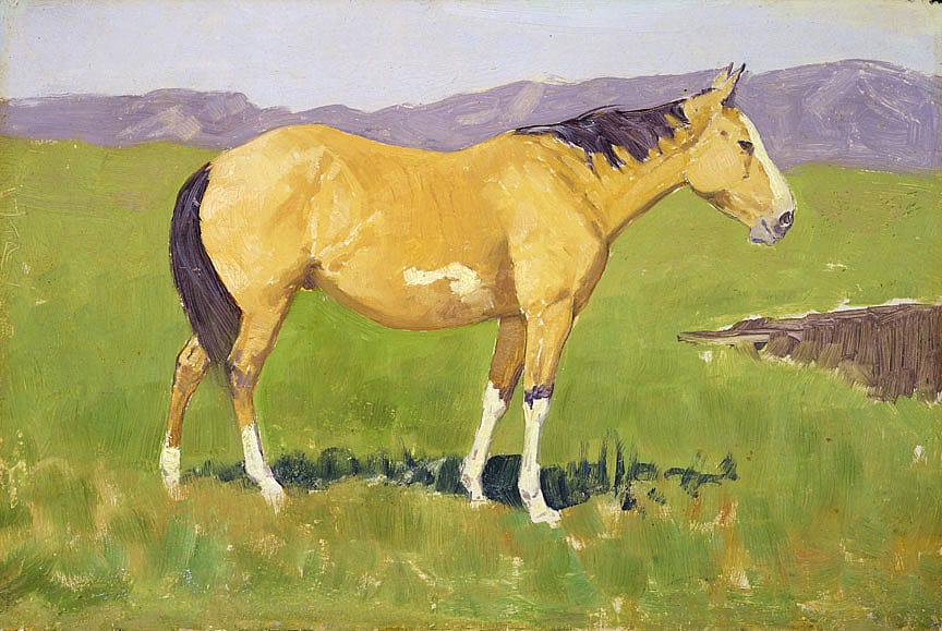 Untitled (horse study)