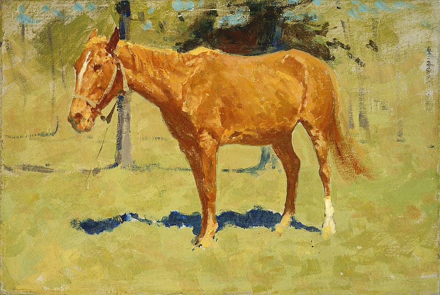 Untitled (horse study)